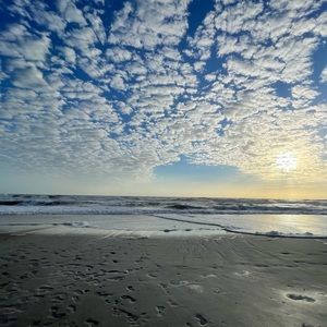 Meet your Posher, Annie